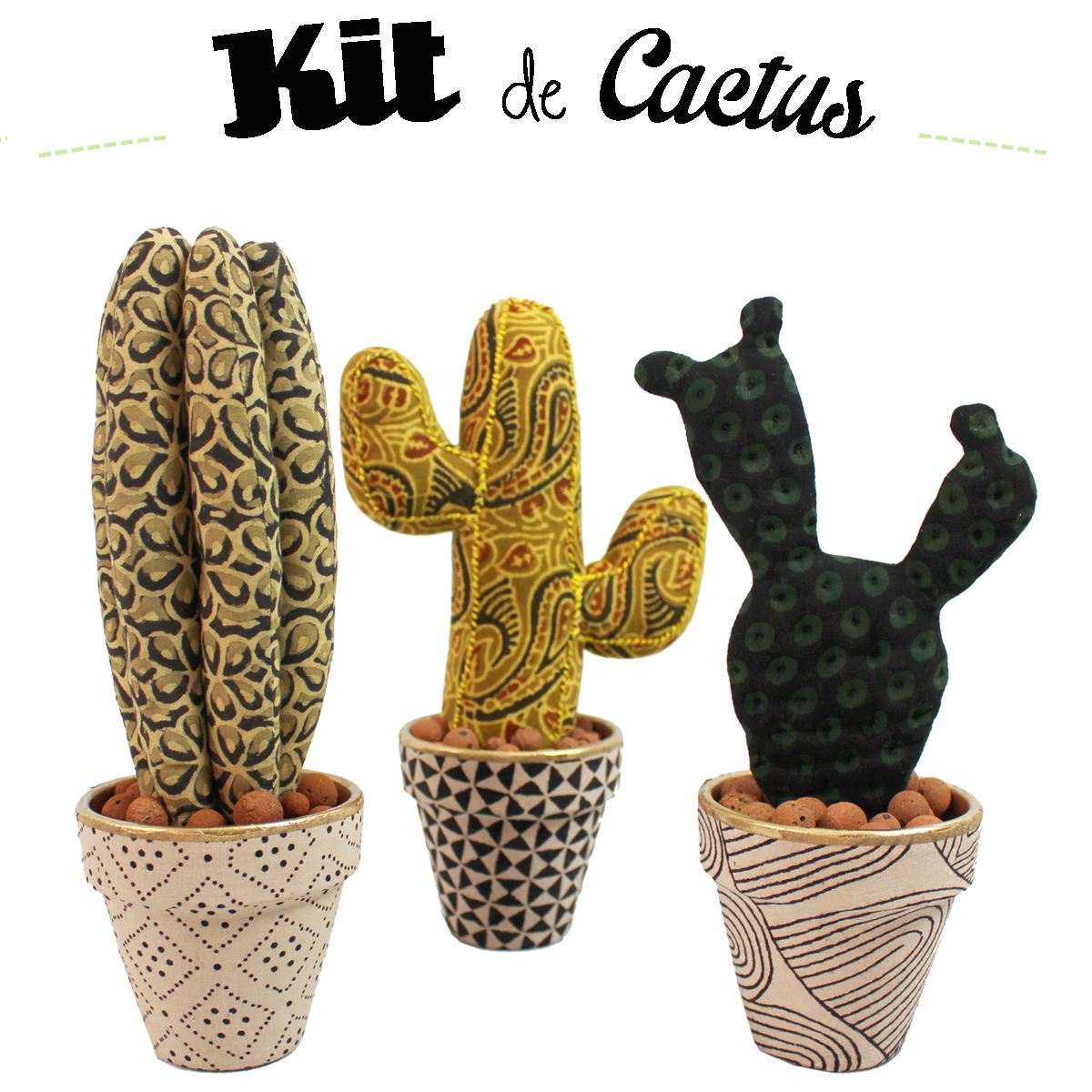 kit de Cactus