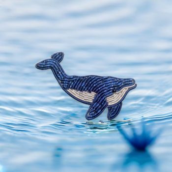 Kit de broche Baleine
